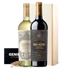 Spaans wijnpakket (2 flessen)